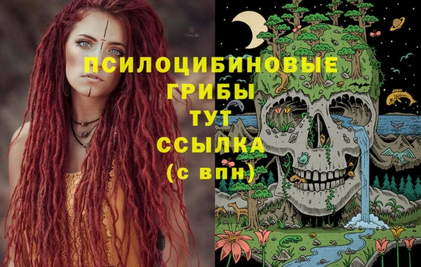 экстази Богородицк