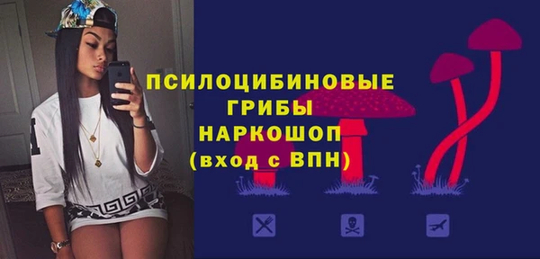 эйфоретик Богородск