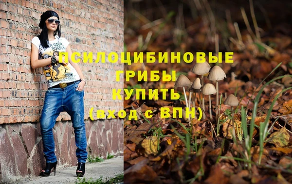 каннабис Богданович